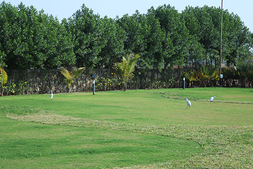 Balaji Upvan | Krishna Smart City - DHOLERA SIR